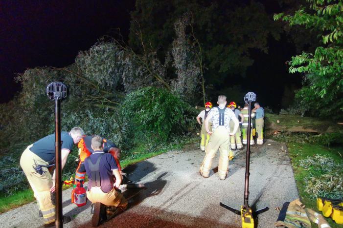 Grote boom valt op weg