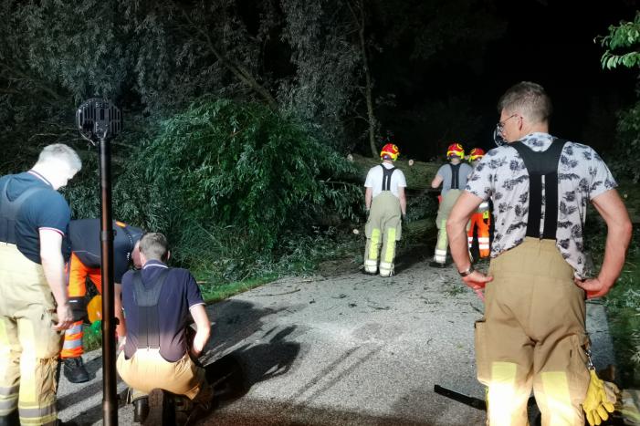 Grote boom valt op weg