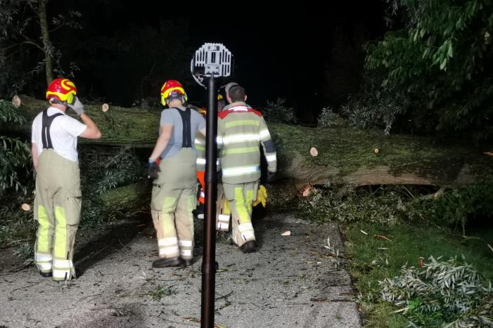 Grote boom valt op weg