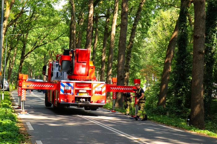 Weg afgesloten voor vallende takken