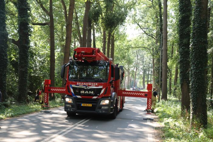 Weg afgesloten voor vallende takken