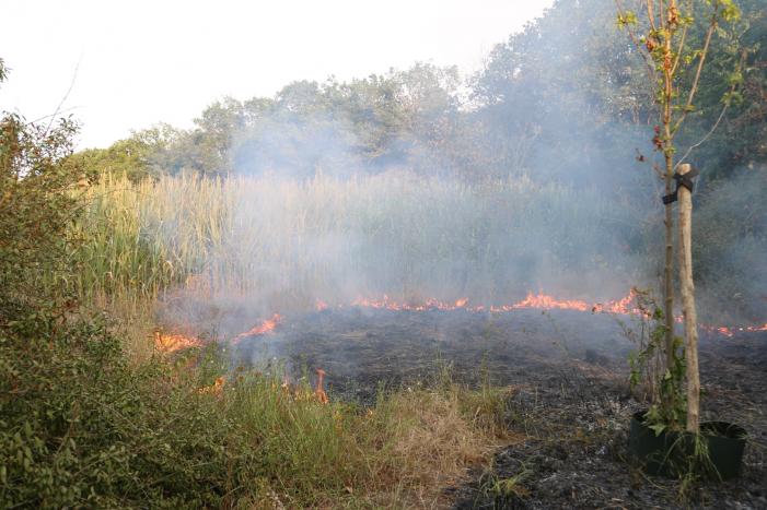 Stuk bos naast zweefvliegclub Volkel vliegt in brand