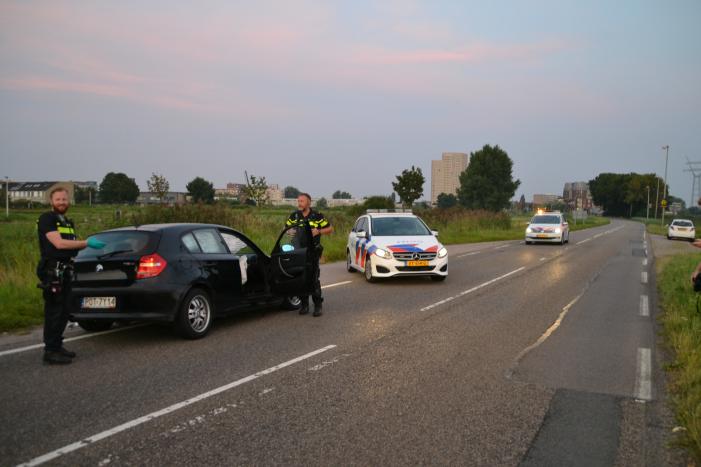 Hond komt met de schrik vrij bij verkeersongeval