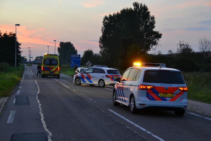Hond komt met de schrik vrij bij verkeersongeval