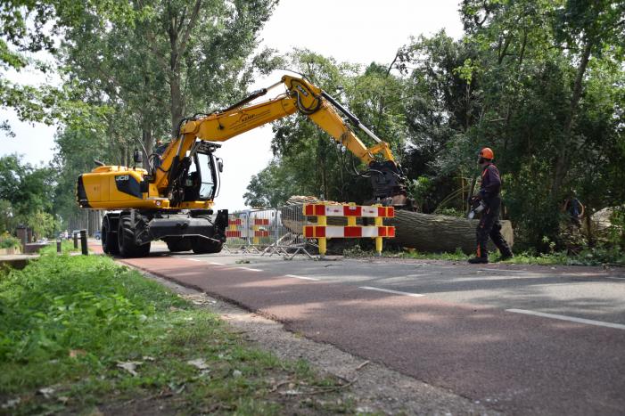 Gemente ruimt 15 bomen op na storm