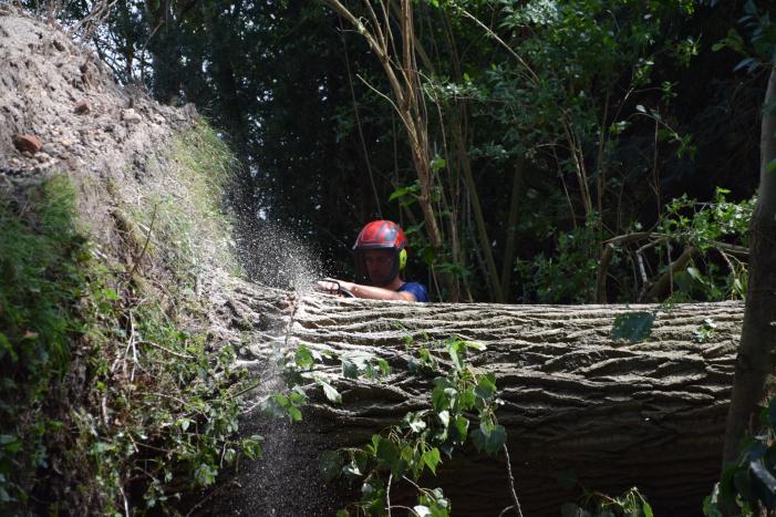 Gemente ruimt 15 bomen op na storm