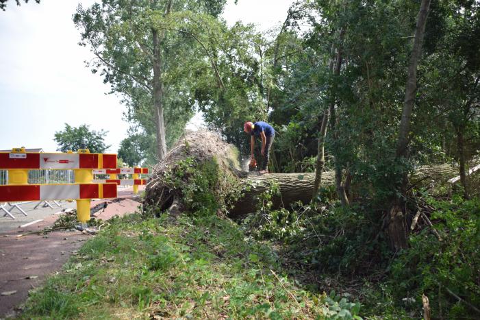 Gemente ruimt 15 bomen op na storm