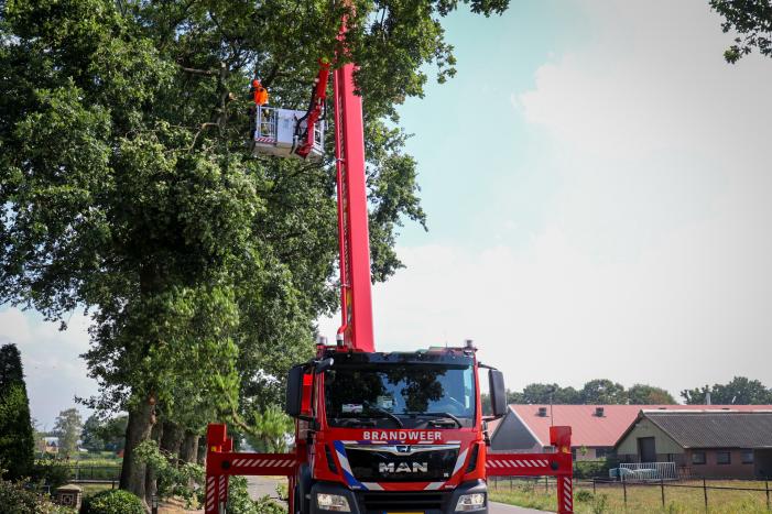 Loshangende takken zorgen voor gevaarlijke situatie