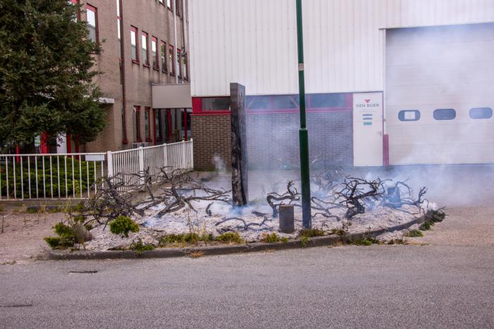 Onkruidbrander zet perk in de brand