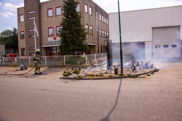 Onkruidbrander zet perk in de brand