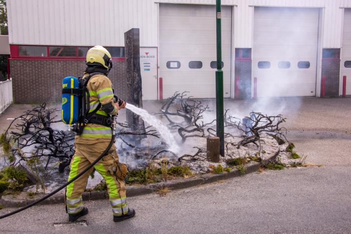 Onkruidbrander zet perk in de brand