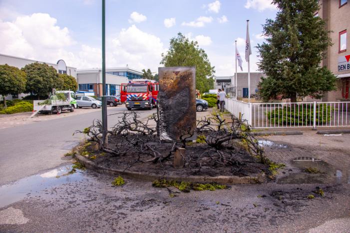 Onkruidbrander zet perk in de brand