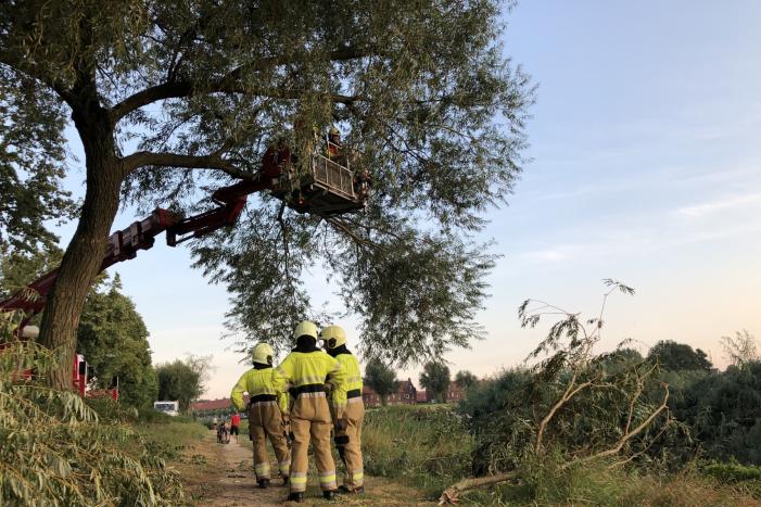 Gevaarlijk hangende tak boven wandelpad