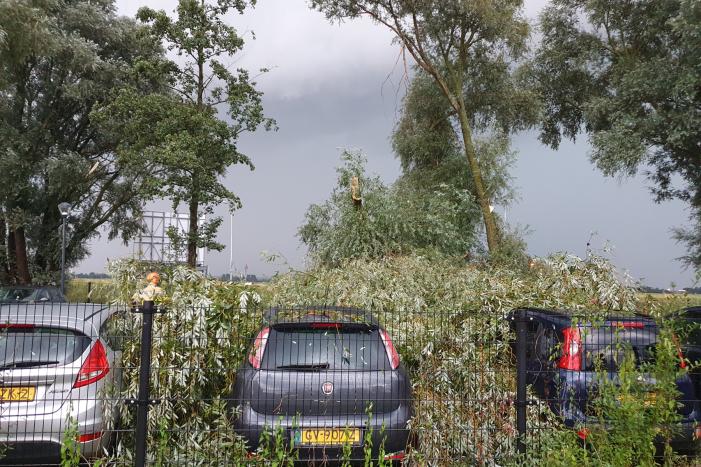 Hulckesteijn Nieuws Nijkerk 