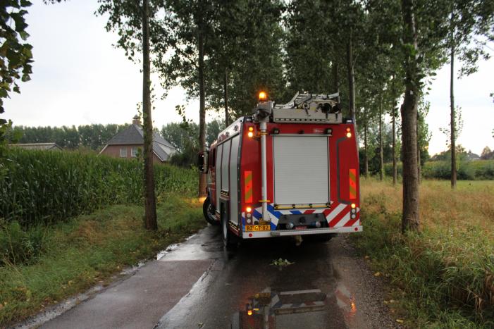 Boom waait om en beschadigt maisveld