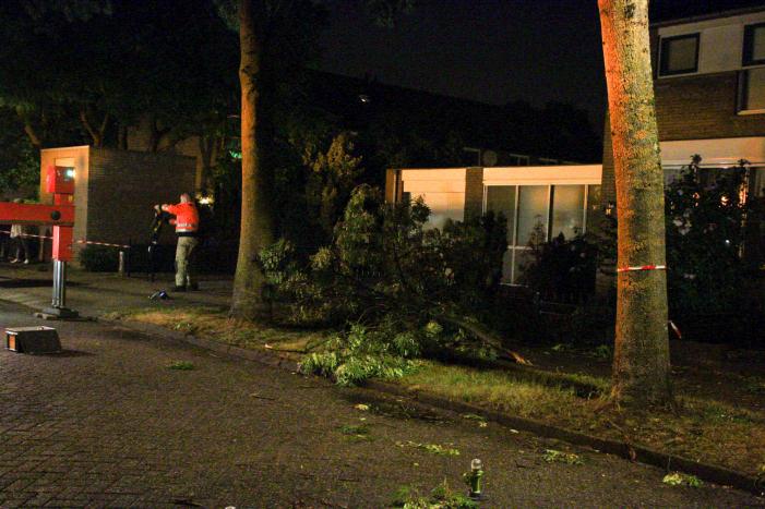 Meerdere takken breken af na blikseminslag in boom