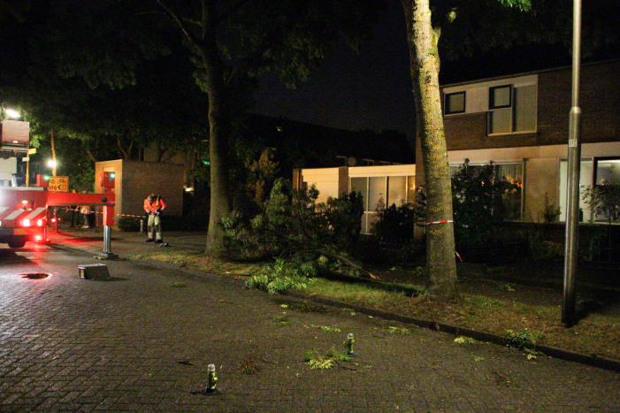 Meerdere takken breken af na blikseminslag in boom