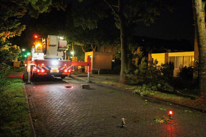 Meerdere takken breken af na blikseminslag in boom