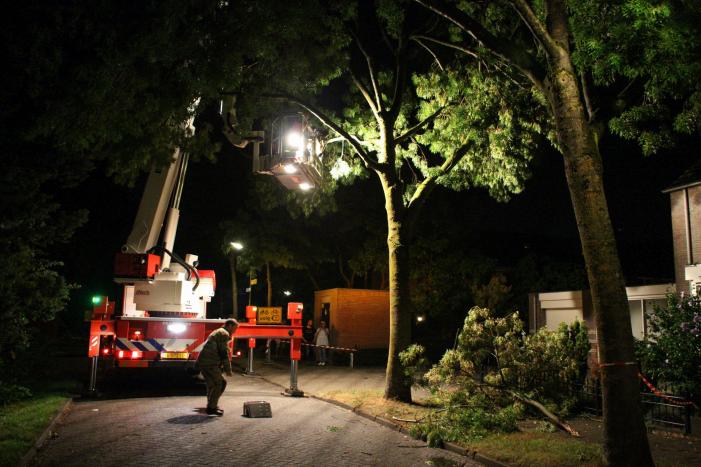 Meerdere takken breken af na blikseminslag in boom