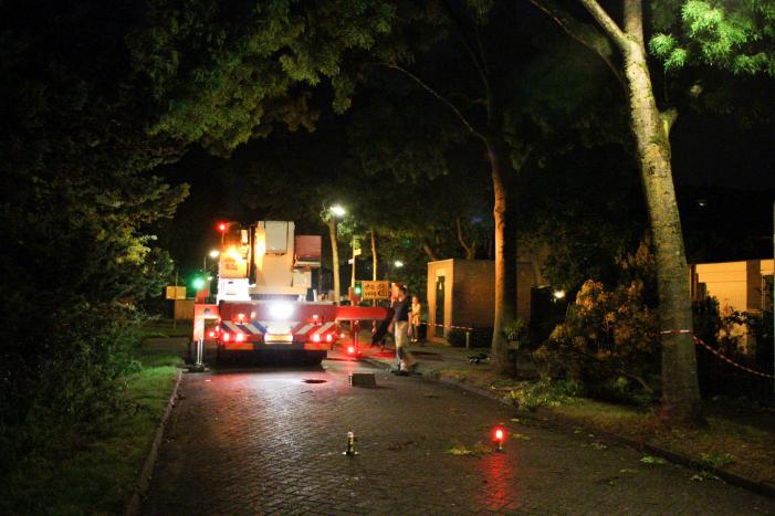 Meerdere takken breken af na blikseminslag in boom