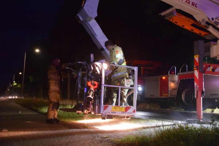Gevaarlijk hangende tak zorgt voor gevaarlijke situatie