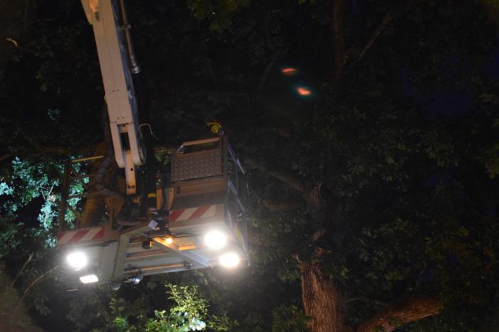 Gevaarlijk hangende tak zorgt voor gevaarlijke situatie