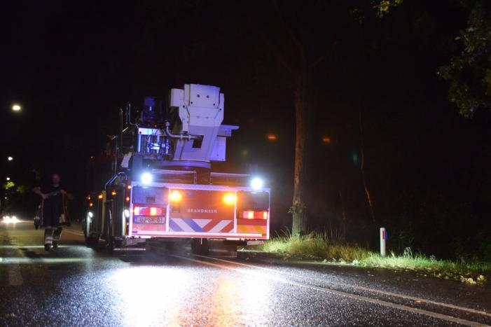 Gevaarlijk hangende tak zorgt voor gevaarlijke situatie