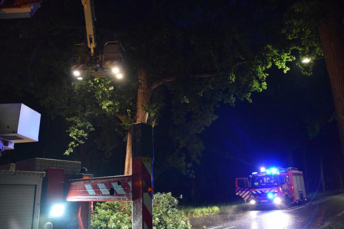Gevaarlijk hangende tak zorgt voor gevaarlijke situatie
