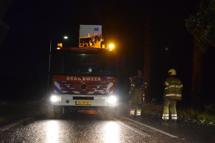 Gevaarlijk hangende tak zorgt voor gevaarlijke situatie
