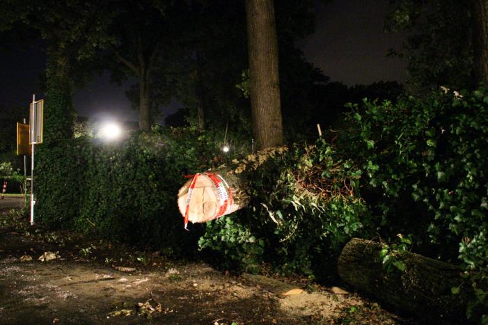 Boom valt om op fietspad