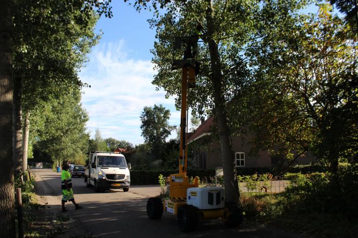 Top van boom breekt af en komt gevaarlijk boven de weg te hangen