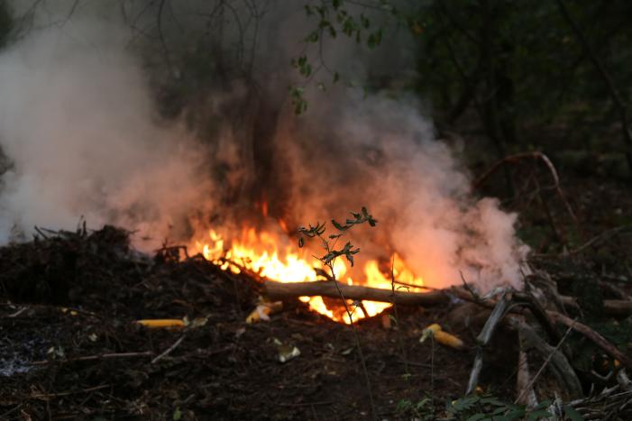 Berg afval in bos in brand gestoken
