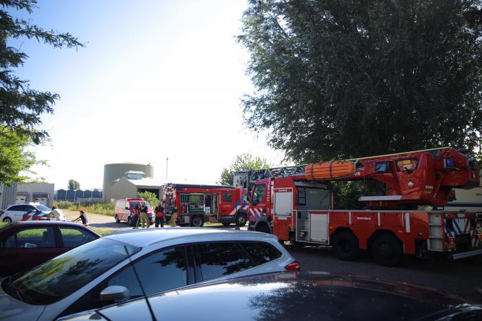 Schermdoek vat vlam in kwekerij Spekflowers