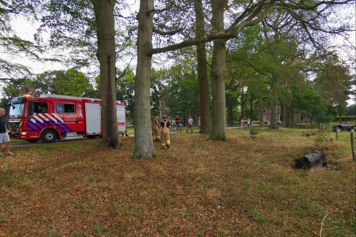 Oude boomstronk vliegt in brand