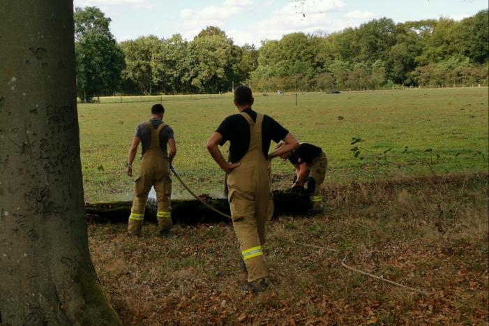 Oude boomstronk vliegt in brand