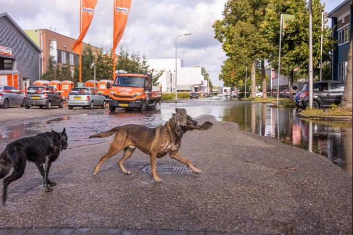 Waterpret na gesprongen waterleiding