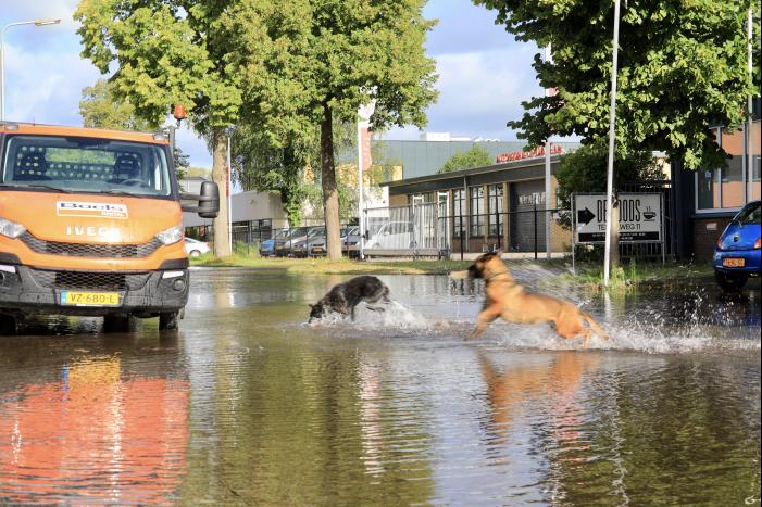 Waterpret na gesprongen waterleiding