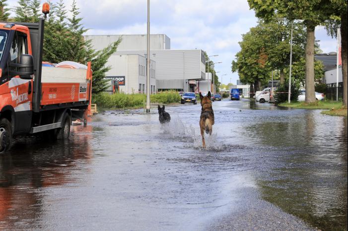 Waterpret na gesprongen waterleiding
