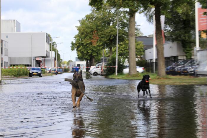 Waterpret na gesprongen waterleiding