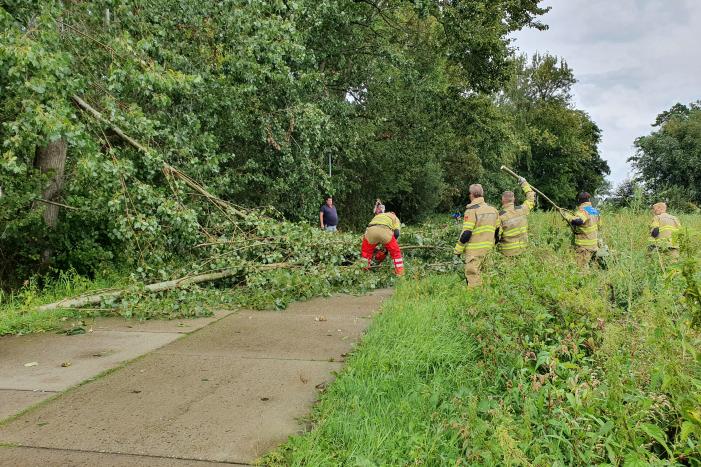 Afgebroken boom verspert fietspad