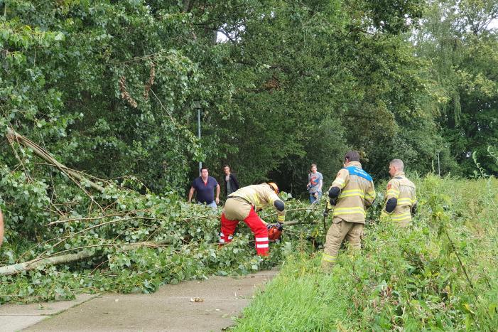 Afgebroken boom verspert fietspad