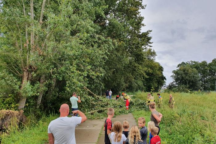 Afgebroken boom verspert fietspad