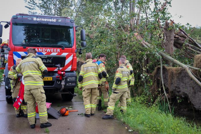 Afgebroken boom verspert fietspad