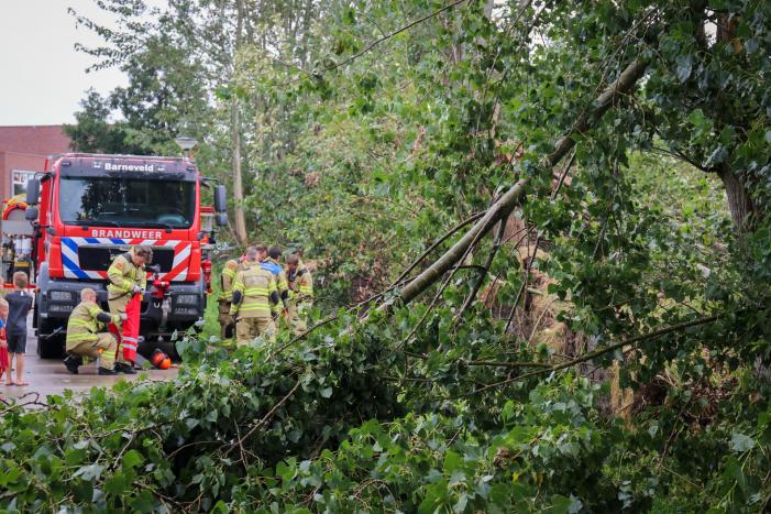 Afgebroken boom verspert fietspad