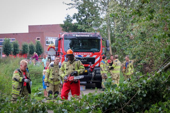 Afgebroken boom verspert fietspad