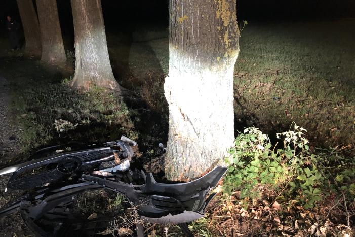 Bestuurder zwaargewond na crash tegen boom