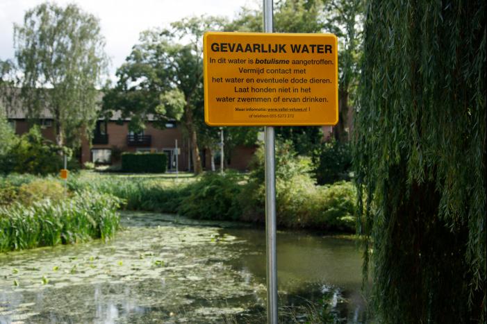Botulisme aangetroffen in vijvers in Schothorst