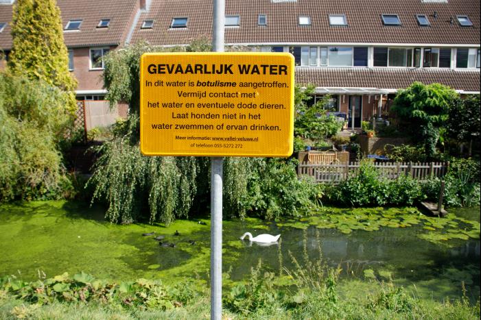 Botulisme aangetroffen in vijvers in Schothorst