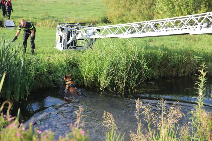 Zoekactie naar boeven in maisveld en water