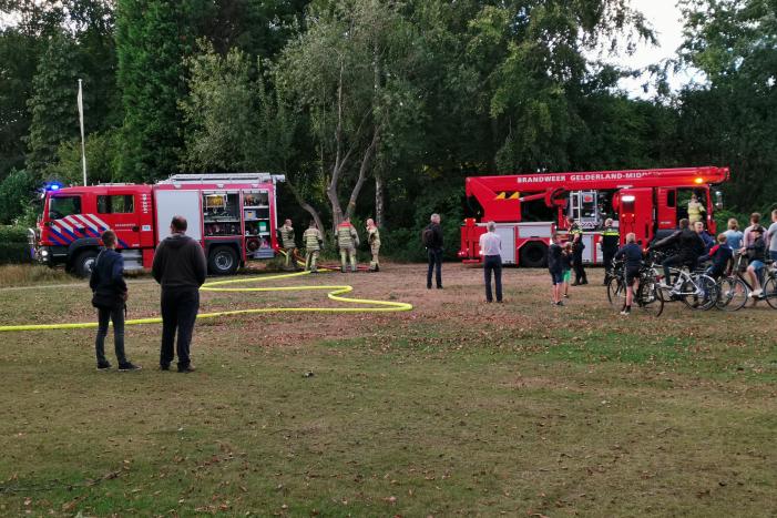 Hoge boom vliegt in brand